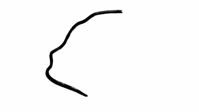 Hand drawn black map of Paris in black color on white background filmed in animated stop motion. Borders of the capital city of France in scribble template highlighting its geographical territory