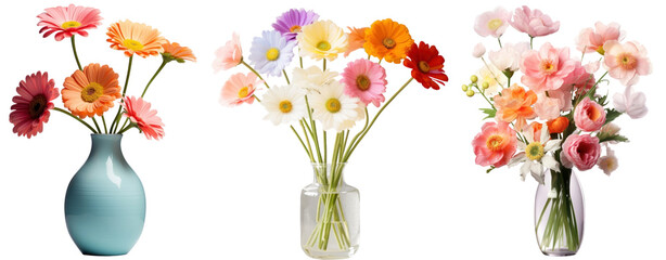 Flowers vase png on transparent background