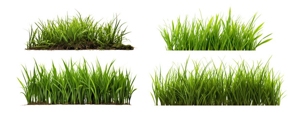 Plant leaf png element set on transparent background