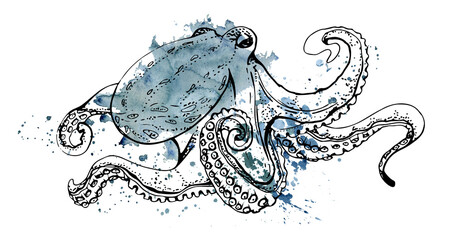 Watercolor and ink hand drawn marine life, sea ocean underwater creatures. fish, shells algae seaweed. Single object illustration, stylized, isolated on white. Zoo shop, aquarium, cosmetics, resort