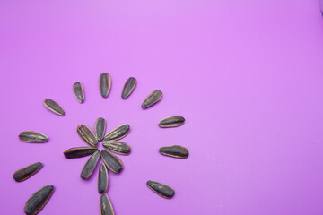 a collection of sunflower seeds isolated on a purple background. Sunflower seeds are used as snacks.