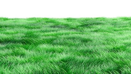 Green lawn grass fresh background
