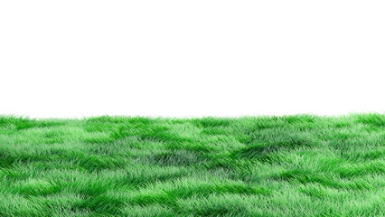 Green lawn grass fresh background
