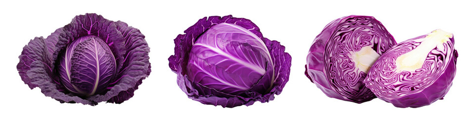 Fototapeta premium Vegetable cabbage plant food set