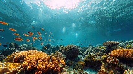 Hard coral garden with fishes, under water scene. Underwater life landscape.