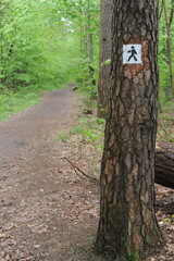 Traffic sign on a tree in the forest