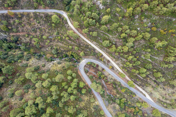 Forest landscape curved secondary road through the forest. Adventure and discovery