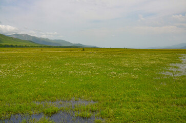 Fototapeta premium wetlands and grasslands in mountain valley near Saratovka village (Lori province, Armenia)