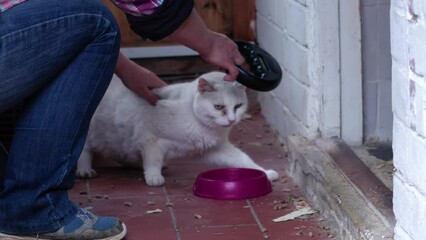 Animal rescue volunteer scans lost cat microchip 