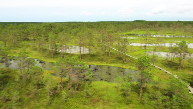 Swamp Viru Raba in Estonia