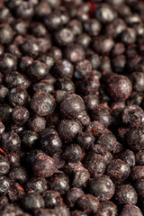 blueberry harvest frozen quickly to preserve vitamins