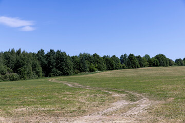 a landscape in a field with a road without asphalt