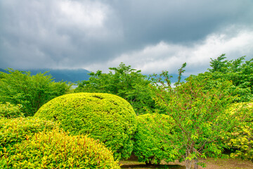 Fototapeta premium On-Shi Hakone Park, garden and plants. Japan