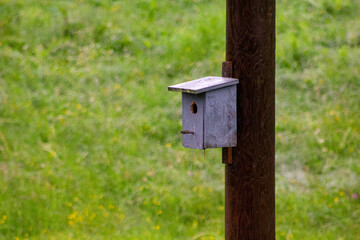 wooden bird house