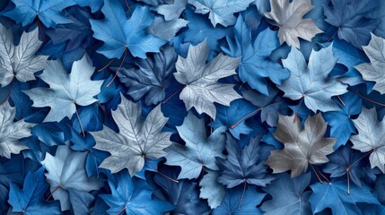 A bright background decorated with a seamless pattern of blue and grey maple leaves. The leaves are evenly distributed, creating a lively yet balanced design that is ideal for children's wallpapers
