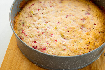  Pretty Tea Cake with Raspberries and Pistachios Close Up
