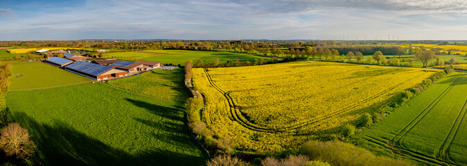 Modern livestock farm features photovoltaic panels on barn roofs surrounded by green fields and blooming yellow raps.  © snapshotfreddy