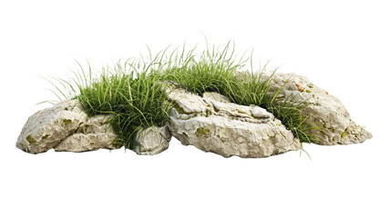 Grass fields meadow with rocks on transparent png background.

