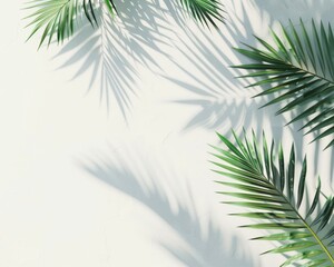 Green tropical palm tree and shadow on a pastel background. Top view. Flat lay. 