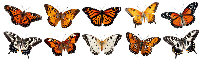 Fototapeta premium Butterfly animal png cut out element set