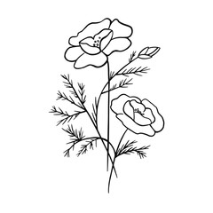Linear contour bouquet of poppy flowers. vector illustration