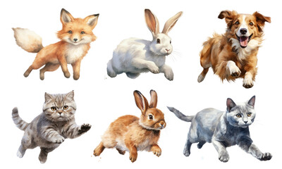 Jumping animals full body set