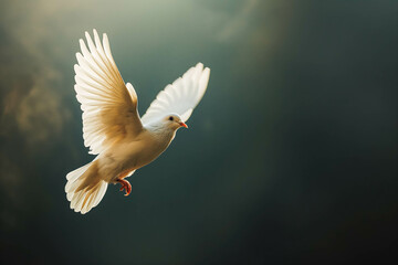 Obraz premium Winged dove with copy space, a representation of the New Testament Holy Spirit