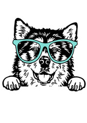 Malamute Dog SVG, Dog Breed SVG, Dog SVG, Pet SVG, Dog Lover SVG, Peeking Animal SVG, Malamute Dog Silhouette, Malamute Dog Vector, Clipart, Cut file for Cricut SVG, JPG, PNG