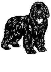 Newfoundland dog SVG, Dog Breed SVG, Dog SVG, Pet SVG, Dog Lover SVG, Peeking Animal SVG, Newfoundland dog Silhouette, Newfoundland dog Vector, Clipart, Cut file for Cricut SVG, JPG, PNG