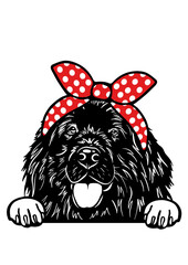 Newfoundland dog SVG, Dog Breed SVG, Dog SVG, Pet SVG, Dog Lover SVG, Peeking Animal SVG, Newfoundland dog Silhouette, Newfoundland dog Vector, Clipart, Cut file for Cricut SVG, JPG, PNG