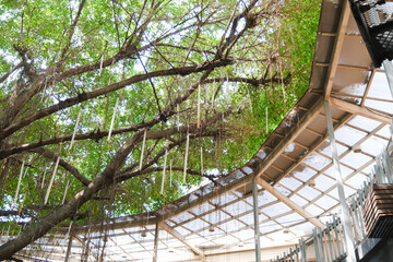 Eco building and green living in city, environment concept © u photostock