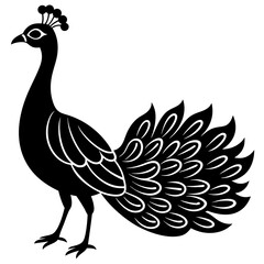Fototapeta premium peacock isolated on white