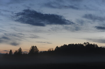 Foggy sunrise morning over the meadow with trees in the background and clouds in the sky