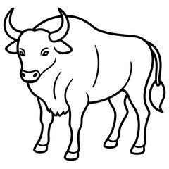 Fototapeta premium black and white bull