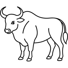 black and white bull