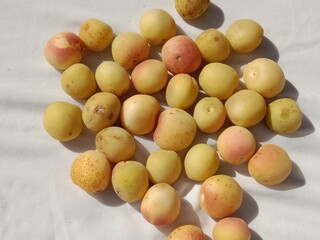 Apricot fruit isolated on white background.Prunus armeniaca fruit or Siberian Apricot fruit with white background 