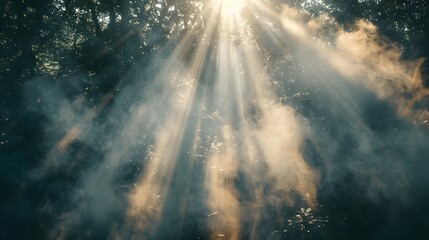 Ethereal Sunbeam and Drifting Smoke Create a Serene Forest Atmosphere