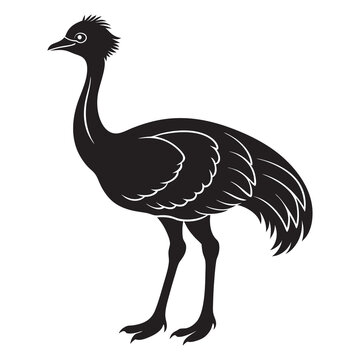 recommend clip art: illustration of an emu animal silhouette 