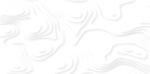 	
Luxury abstract lines Modern white carve wave line abstract luxury 3d papercut background. vector minimal topography map light element shadow landscape wave element curve graphic papercut design.