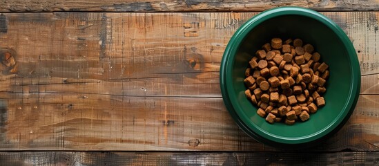 Green plastic bowl holds dog toy, food, and feed on wooden background for a top view copy space image, illustrating dog care concept.