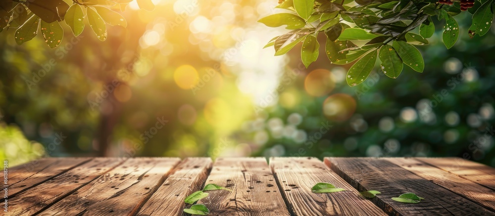 Aufkleber Blurry nature background enhances table top in copy space image.