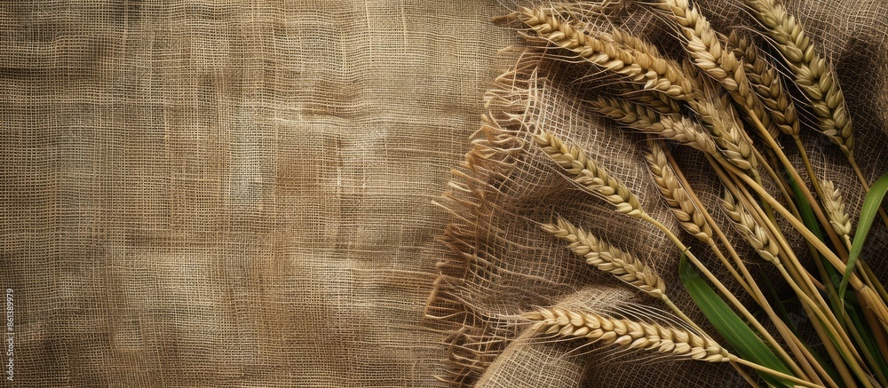 Poster Rustic scene with wheat ears on burlap backdrop including a canvas background for a copy space image.
