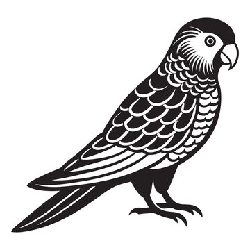 recommend clip art: illustration of a bird parakee silhouette