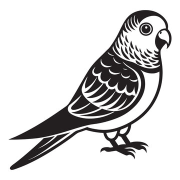 black and white parakeet bird portrait clip art preview