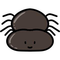spider
