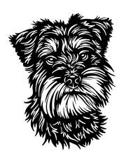 Yorkshire terrier SVG, Dog Breed SVG, Dog SVG, Pet SVG, Cat SVG, Best Friend SVG, Guard SVG, Dog Lover SVG, Peeking Animal SVG, Yorkshire terrier Silhouette, Yorkshire terrier Vector, Clipart, Cut fil