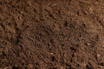 details of agricultural soil to improve the quality of crop plants