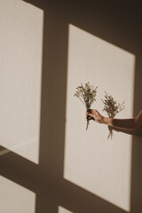 Hand hold wildflowers bouquet. Shadow play in front of beige wall. Minimalistic, warm neutral color palette and soft beige aesthetic