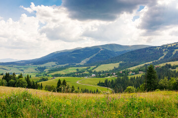 Fototapeta premium mountainous countryside landscape in summer. trees near the grassy meadow. rural scenery of podobovets valley. sustainable living in transcarpathia, ukraine. wide open vista