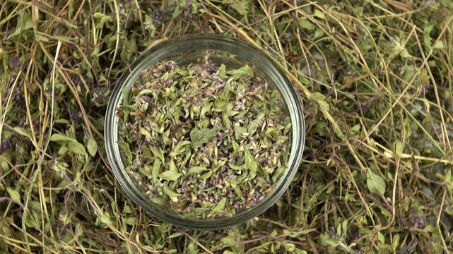 Glass jar with peeled thyme, stand on the heap of collected and dried thyme, culinary herb, background